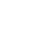 icons8-online-50 (1)
