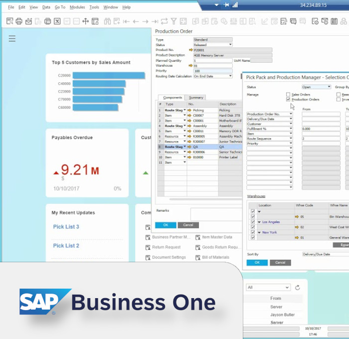 sap-b1-img